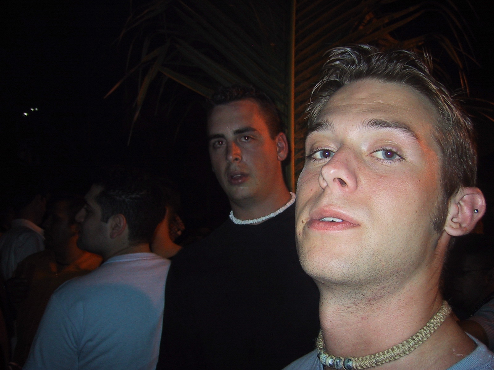picture086.jpg